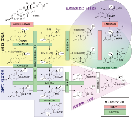 yyyyyy a8099-product_detail1_sec2_img1.png