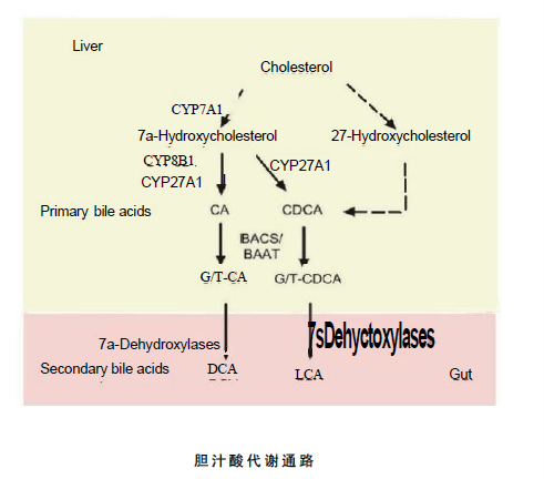 yyyyyy i5570-1743308102949.png