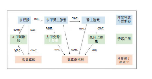 yyyyyy j2151-1743308738875.png